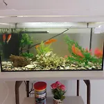 Апартаменты Aquarium House Калампака