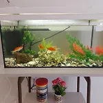 Апартаменты Aquarium House