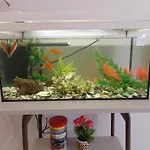 Aquarium House Апартаменты Калампака