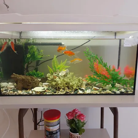 Apartmán Aquarium House *