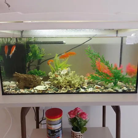 Apartmán Aquarium House Kalambaka