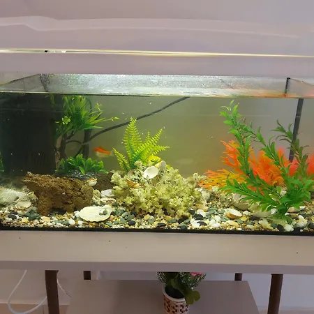 アパート Aquarium House