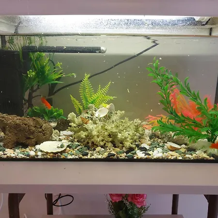 Aquarium House Апартаменты *