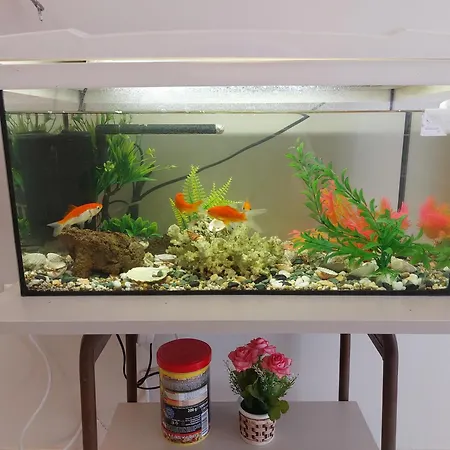 Apartmán Aquarium House