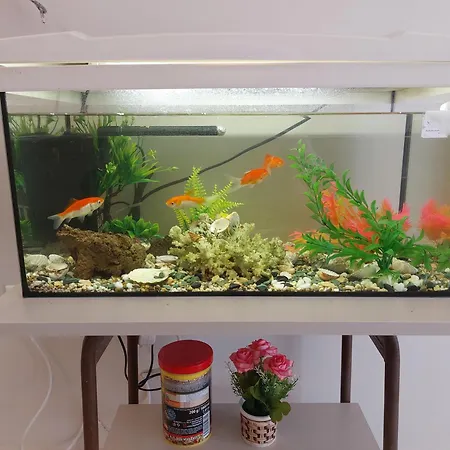 Aquarium House Διαμέρισμα *