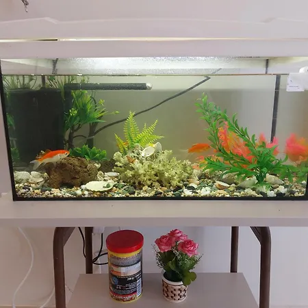 アパート Aquarium House *