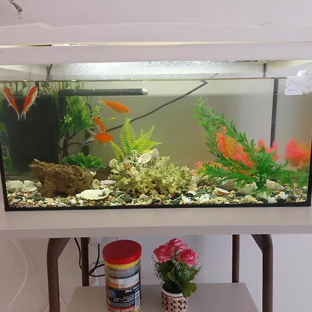Aquarium House アパート カランバカ