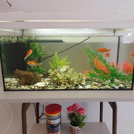 Aquarium House *