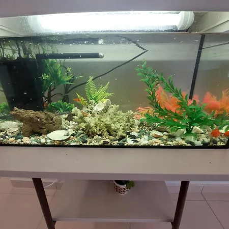 アパート Aquarium House *