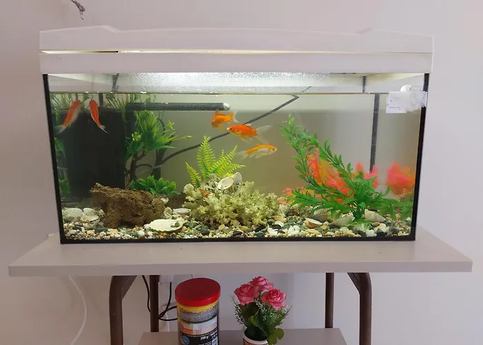 Apartment Aquarium House *