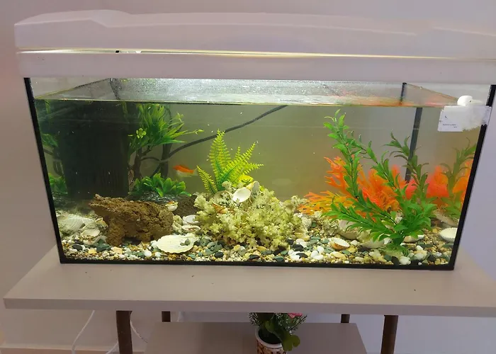 Apartment Aquarium House