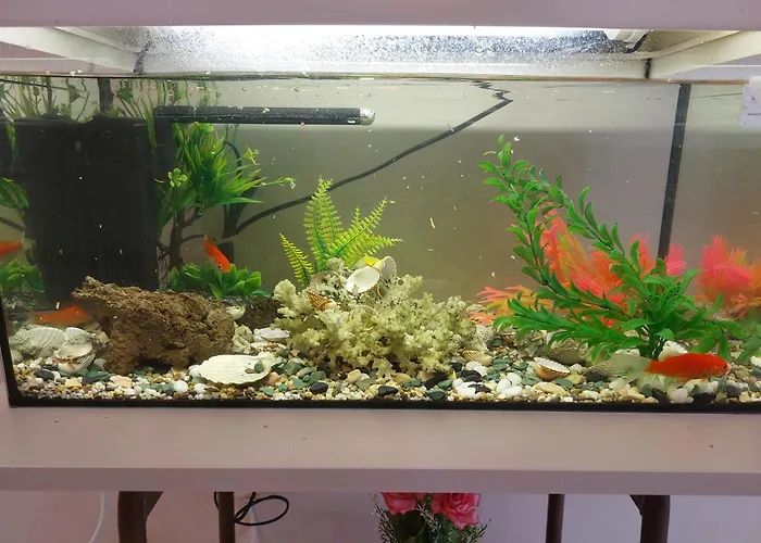 Aquarium House Apartment *