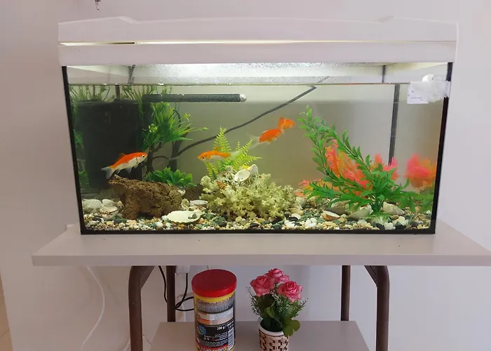 Aquarium House Apartment *