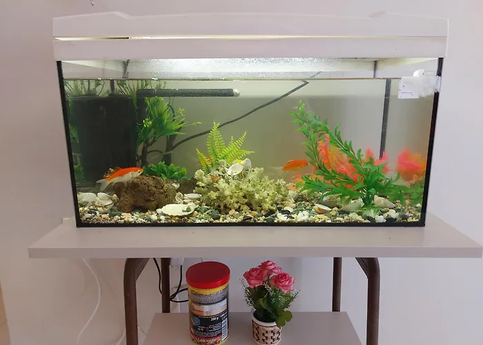 Apartment Aquarium House *