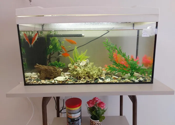 Aquarium House Apartment Kalambaka