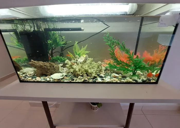 Apartment Aquarium House *